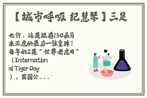 外网张津瑜7段原版外网